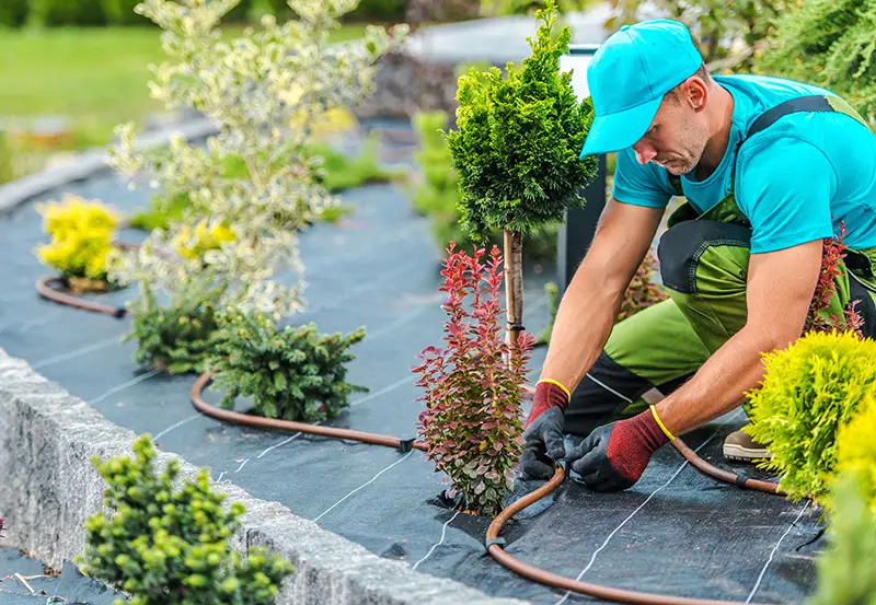 Plant Nursery Improves Efficiency & Forecasting with Custom ERP