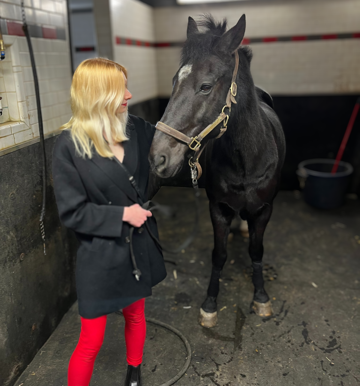 Laura and a black horse