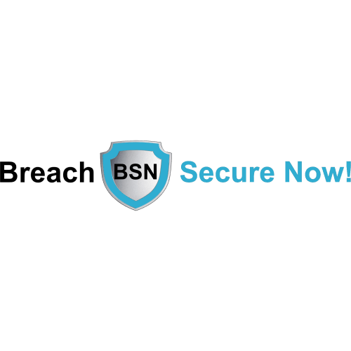 BSN-Logo