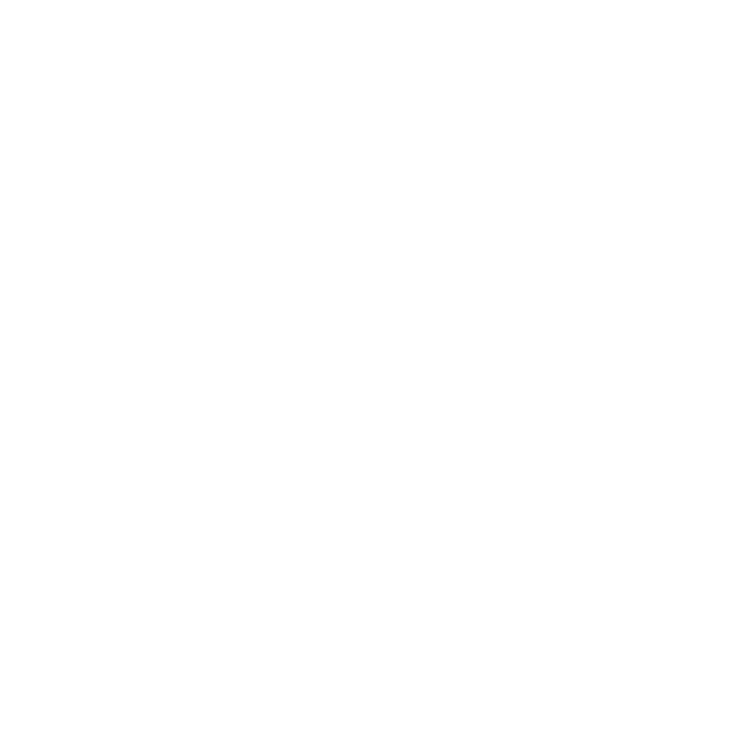 Conelis Network logo in white on pale grey background