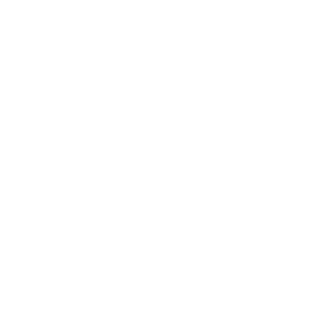 CultureWise logo in white on a pale grey background