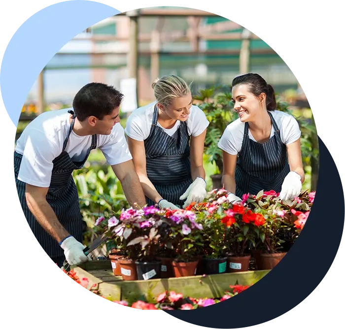 group of garden workers working in nursery