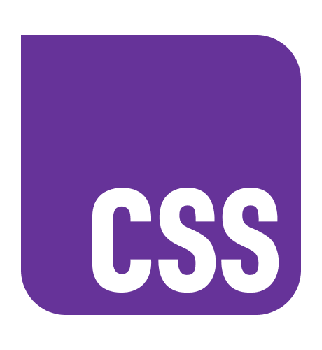 CSS Logo