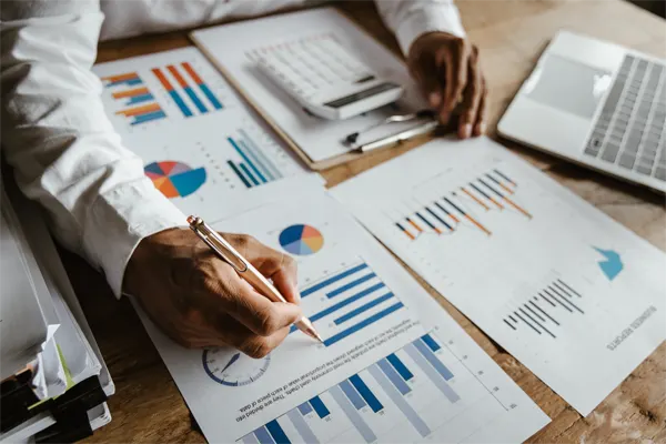 Financial Analyst Documents include charts, tax information and marketing strategies, with a focus on risk management.