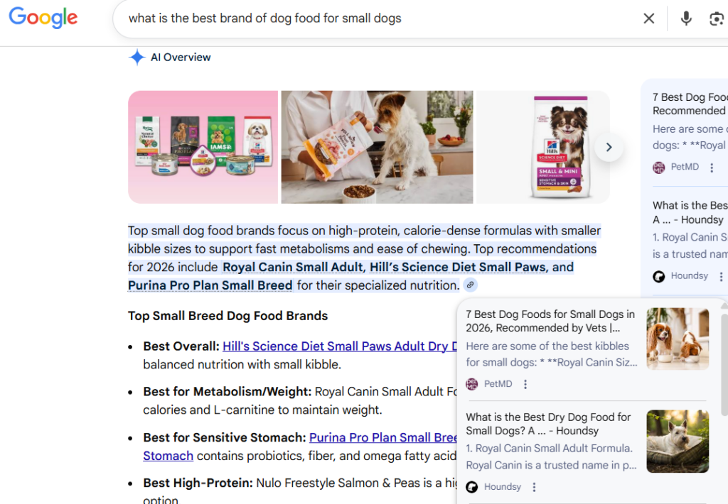 Google search results for "what is the best brand of dog food for small dogs" with an AI summary, sources, & list of top brands